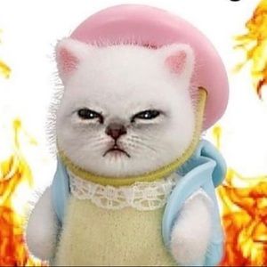 Meet your Posher, Delaney